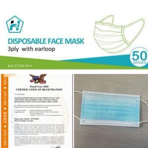 Disposable 3-ply Earloop Face Mask